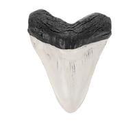 Gatuida Decorazione Dente Squalo Preistorico in Retro per Scrivania Modello Realistico Fossilizzato e Leggero per Collezione e Arredo