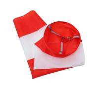 Gatuida Maniche a Vento Riflettenti Oxford Resistenti e Leggere per Esterni, Decorazioni Giardino e Misurazione Direzione Vento 100cm, Colori Vivaci per Eventi Sportivi, Barbecue, Scuole e Giardini