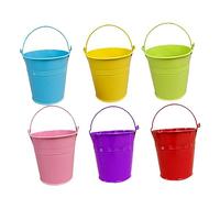 Gatuida Mini Secchielli in Latta 20 Pezzi Secchielli Piccoli in Metallo Per Piante Grasse E Fiori Vasetti Decorativi Con Manico Secchi Di Ferro Per Interni Ed Esterni Set Per Giardino colore casuale