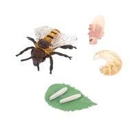 Gatuida Modelli Didattici Api in Plastica Resistente Ciclo Realistico per Apprendimento Biologico Cognitivo Animali Educativo per Scuola e Casa
