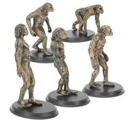 Gatuida Modelli Evoluzione Umana in Plastica per Giocattolo Cognitivo Educativo e Decorazione Table Resistente e Dettagliato per Ragazzi e Ragazze