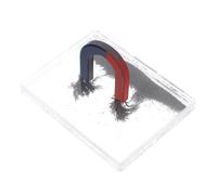 Gatuida Polvere di Ferro in Scatola per Esperimenti Scientifici Strumento Educativo per Fisica Dimostratore Linee Campo Magnetico Trucioli Magnetici Precisi per Laboratorio