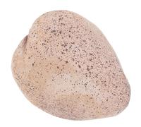 Gatuida Portachiavi in per Decorazione Esterni Scatola Portaoggetti Resistente Nascondi Chiavi Riserva per Cortile e