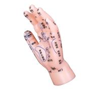 Gatuida Riflessologia Della Mano Per Agopuntura Guida Per Punti Supporto Didattico in Pvc Resistente Per Formazione e Apprendimento