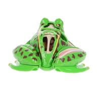 Gatuida Statuette Di Anfibi in Forma Con Organi Staccabili Per Ragazzo Ragazza Kit Di Biologia Educativo Per Apprendimento Stem e Lezioni Di Anatomia