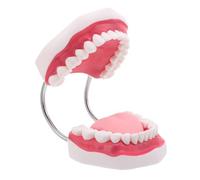 Gatuida Tecnici Che Insegnano La Lingua - Gengive Dimostrazioni Della Bocca Preparazione Del Modello Dentista Fai Da Te Per Esame Denti Finti Denti Dimostrazione