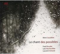 Gaudillat, Remi - Le Chant Des Possibles