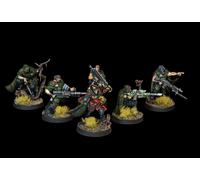 Gaunt's Ghosts Astra Militarum warhammer 40K COMMISSIONE dipinto