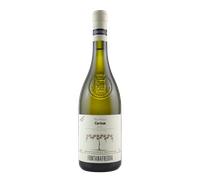 Gavi di Gavi 'Cortem' Fontanafredda 2025