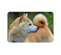 gawuoab Akita Inu Bokeh Pets Dogs Akita Inu, zerbino antiscivolo lavabile per interni, 24"x16", tappetino per porta d'ingresso, tappeti da bagno
