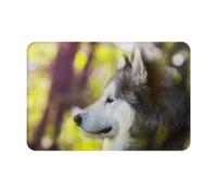 gawuoab Alaskan Malamute Bokeh Animali Cani Carini, zerbino interno antiscivolo lavabile 24"x16" per porta d'ingresso, tappeti da bagno