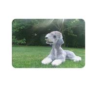 gawuoab Bedlington Terrier, cani divertenti, cani pelosi, animali domestici, zerbino antiscivolo lavabile per interni, 24"x16", tappetino per porta d'ingresso, tappeti da bagno