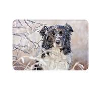 gawuoab Border Collie Inverno Neve Bianco Nero Cani, zerbino interno antiscivolo lavabile 24"x16" zerbino per porta d'ingresso, tappeti da bagno