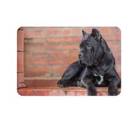 gawuoab Cane Corso, grandi cani neri, animali domestici, zerbino antiscivolo lavabile per interni, 24"x16", tappetino per porta d'ingresso, tappeti da bagno