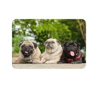 gawuoab Carlino Amicizia Bokeh Cani Animali Domestici Amici Carlino, 24"x16" Zerbino Antiscivolo Lavabile per Interni Tappetino per Porta d'Ingresso, Tappetino da Bagno