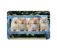 gawuoab Chow-Chow, zerbino antiscivolo lavabile per interni, zerbino per porta d'ingresso, tappeti da bagno, cani carini, cinque cuccioli