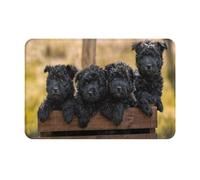 gawuoab Cuccioli di famiglia Affenpinscher, cani neri, scimmie, zerbino antiscivolo lavabile per interni, 24"x16", tappetino per porta d'ingresso, tappeti per bagno