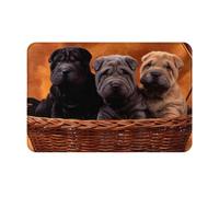 gawuoab Cuccioli di Shar Pei neri, cani di piccola taglia, cuccioli grigi, animali domestici, zerbino antiscivolo lavabile per interni, 24"x16", tappeti per porta d'ingresso, tappeti per bagno