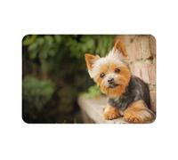 gawuoab Tappetino da parete con motivo Yorkshire Terrier Bokeh e simpatici cani, 24"x16" antiscivolo, lavabile, per interni, per porta d'ingresso, tappeti da bagno