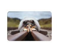 gawuoab Tappetino per porta d'ingresso, tappetino per bagno, antiscivolo, lavabile, per interni, con motivo Rough Collie Bokeh Railway Dogs Pets Rough, 24"x16"
