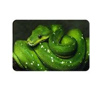gawuoab Tappeto da ingresso per interni, antiscivolo, lavabile, con motivo serpente verde rettile, 24"x16", tappetino da bagno
