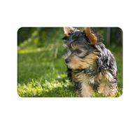 gawuoab Yorkshire Terrier, erba verde, simpatici cani, zerbino antiscivolo lavabile per interni, 24"x16", tappetino per porta d'ingresso, tappeti da bagno