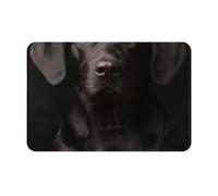 gawuoab Zerbino per ingresso, antiscivolo, lavabile, per interni, con Labrador nero adottato curioso, 24"x16", tappetino per porta d'ingresso, tappetino per bagno