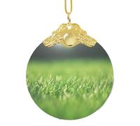 GaxfjRu Decorazioni per la casa di Natale della natura verde di Hd, pendente del regalo dell'albero di Natale appeso per l'allegria delle vacanze, Misura unica