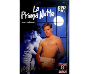 GAY La prima notte ZONA ROSSA zr007