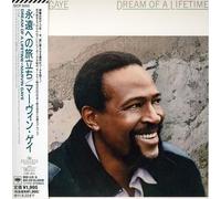 Gaye, Marvin - Dream Of A Lifetime