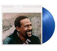 Gaye Marvin - Dream Of A Lifetime