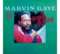 GAYE, Marvin - Sexual healing / CBSA 12.2855