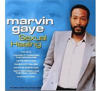 Gaye Marvin - Sexual Healing [Swe]