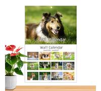 Gazocua Calendario con Animali | Creativo e - Pianificatore Calendario Per Feste | Per Pianificare La Postazione Di Lavoro Lo Studio La Scrivania Organizzare La Casa La Famiglia La Scuola E Gli Amici