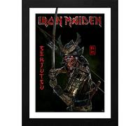 Merchandising Iron Maiden: Gb Eye - Senjutsu (Framed Print 30X40 / Stampa In Cor