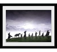 GB eye Ltd, Il Signore degli Anelli, Fellowship, Foto incorniciata, 40 x 30 cm
