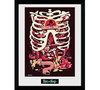 GB eye Ltd, Rick e Morty, Anatomy Park, Foto Incorniciata 30x40 cm