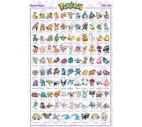 GB Eye - Poster Sinnoh Pokémon francese (91,5 x 61 cm)