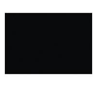 GBC Copertine Polyopaq 300mic 100pz - Nero - IB386831