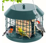 Gbekery Mangiatoia per uccelli in gabbia per esterni da appendere, a prova di scoiattolo, doppia mangiatoia per piccoli uccelli, gabbia in metallo con gancio staccabile, grande spazio, resistente alle