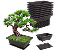 GBKDQQ Set di 8 ciotole per bonsai, 16,5 x 12 x 6 cm, con vassoi riutilizzabili, in plastica, per bonsai, adatti per cortili, soggiorno, balconi, giardini, uffici (nero)