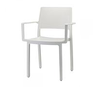 GBSHOP Sedia Kate con braccioli Confezione da 4 sedie