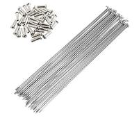 GBZIJIE Raggi di Ruota per Bicicletta Ad Alta Resistenza Flessibile 700C Ruote Bici da Strada 26 Pollici Mountain Bike Raggi della Bicicletta Capezzoli Ciclo in Acciaio Inox(272MM)