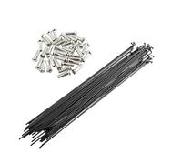 GBZIJIE Raggi di Ruota per Bicicletta Inox 36pcs Accessori for Bici 170mm-290mm 26 Pollici 700C Ruote Mountain Bike Raggi Nippli for Raggi for Bicicletta for Ciclo Acciaio Inossidabile(255mm)