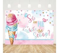 GCIREC 8x6ft Rosa Sfondo del Cono del Gelato Lui o Lei Cosa è lo Scoop Genere Rivelare Famiglia Festa Fotografia Sfondo Banner di Studio fotografico Bambini Fotografia Props