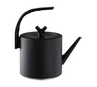 Gcljlmy Bollitore elettrico, fornello a riscaldamento rapido, bollitore per tè sfuso, bollitore ad acqua calda, teiera per picnic, preparare il tè, viaggi, versare il caffè (nero)