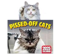 GD HUA Calendario con Gatti Arrabbiati 2025, Pissed Off Cats 2025, Angry Cat Calendar 2025, Divertente Calendario da Parete 2025 Pianificazione Agenda Mensile