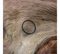 Gdfnmogo Freehub Pawl Spring per componenti del mozzo - Driver in acciaio inossidabile per base ad anello torre parte di ricambio compatibile con Fulcrum Freehubs,