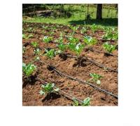 Gdfnmogo Irrigatore oscillante di irrigazione con ugello rotante oscillante regolabile, raggio di spruzzo 6-9m, bassa pressione 2.5-3.5kg, portata 800-1300LH, plastica durevole DN15