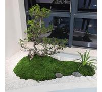 Gdfnmogo Tappeto di muschio artificiale per decorazione domestica, 1 x 1 m, in poliestere, verde, finto muschio per giardino, paesaggio, bonsai in vaso e verde scuro